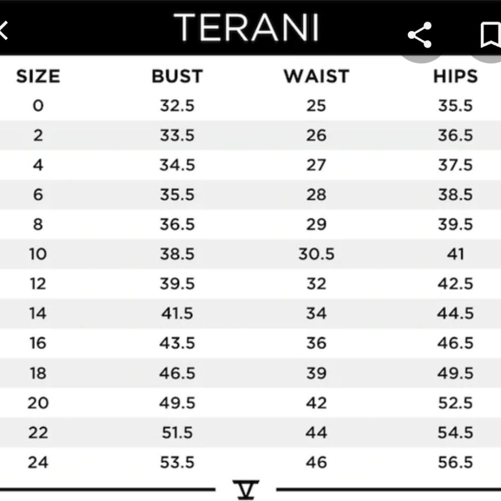 SOLD Sexy Silver Terani Satin Dress - Picture 5 of 5